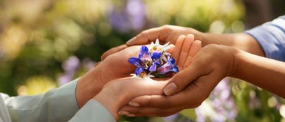 four hands holding flowers together