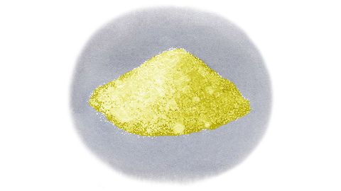 Lens Esculenta (Lentil) Seed Extract